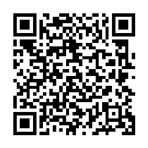 被某人害得衣衫略显不整的云知秋提了另一只枕头冲到门口二维码生成