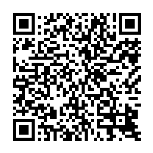 被沈凡一刀斩飞几十里的异象四重宗师在他们之中的实力算是中游偏上二维码生成