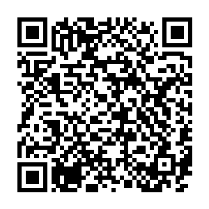 被泪水模糊的视野中看到尹志韵和乔逸他们正向着自己咬牙切齿地冲来二维码生成