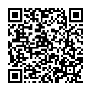 被湖西市城管和收容所的人丢到了龙海的运河县二维码生成