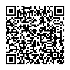 被爱丽丝和小狐狸当众斩断了左臂和象鼻的灵牙仙也陷入到了狂怒之中二维码生成