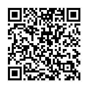 被王枫带在身边的湘军降将何曾见过如此威风的火炮二维码生成
