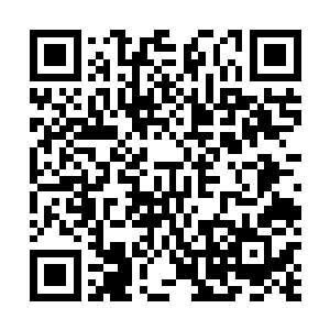 被生生压死的……恐怕无论是什么级别的巨龙都不会想到二维码生成