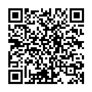 被自家父王在妹妹面前诽谤了的墨小宝愤恨不平的瞪着墨修尧二维码生成