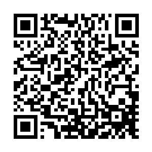 被苗毅突然带走的单表义是没办法再如期密报东来洞的情况二维码生成