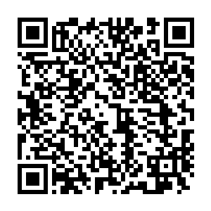 被血剑门四大护法包围在里面是司徒老鬼五人目光也看向剑尘这边二维码生成