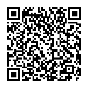 被誉为平天神国神王之下第一强者的自己败在才成名数十年的天元家主身上二维码生成