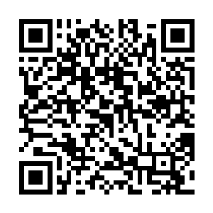 被赶到二楼会议室的迪飞楚宁等人看着洛雪妍上车离开二维码生成