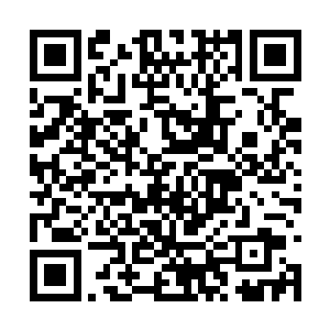 被这个家伙抗在肩膀上的猪竟然停止了咴咴的叫声二维码生成