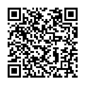 被这些狼扑倒的时候就是自己彻底完蛋的时候……二维码生成