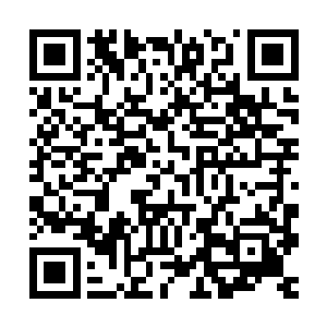被这样共同宣泄的情感驱使着觉得自己做的是天下最正确的事情二维码生成