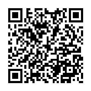 被这突如其来的变故给吓愣神的叶然恢复了清醒二维码生成