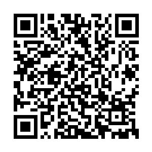 被那个死女人狠狠踢了一脚的小腿上淤青了一片二维码生成