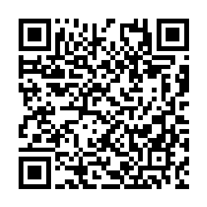 被问及的金和莉莉两个人多少显得有那么一些茫然二维码生成