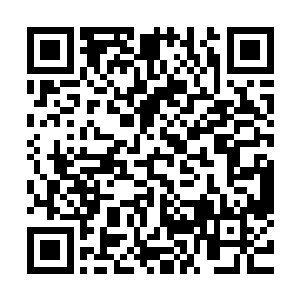 被阴冷煞气和强横精神意念包裹的六转极限剑意忽然震动起来二维码生成