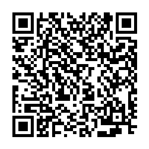 被颜洛儿称为小世界的巨大型幽蓝水晶上空很快聚集起了有形的灵气漩涡二维码生成