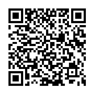 被马文故意弄醒的森林巨蚺一口吞掉了那只兔子二维码生成