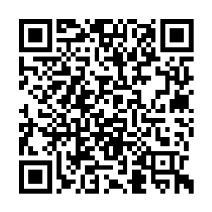 袭灭月和罗莉的手也都已经触及到了赤龙的身上二维码生成