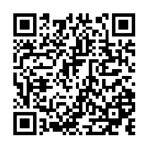 袭灭月就是一个别扭的用高傲来保护自己的小孩子二维码生成