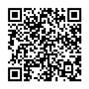 装扮几乎一模一样的姐妹俩的确也是很多目光的聚焦中心二维码生成