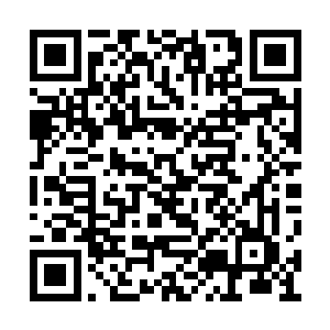 装疯卖傻地来中海想让我用血液和内功帮你驱毒二维码生成