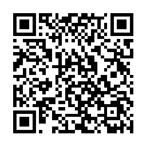 西医和中医都是人类战胜疾病而发明的一种治疗手段二维码生成