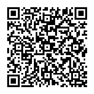 西山军营的兵器盔甲滚爬跌打起早贪黑的操练并没有将这位二公子身上张狂肆意的东西磨没二维码生成
