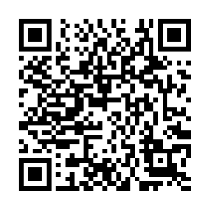 西方的那些家伙历来都是被我们东方修真者所压制二维码生成