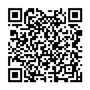 西格玛的幽光屏闪过一波又一波柔软的绿色波浪线二维码生成