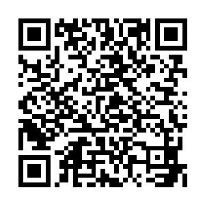 西欢儿的一张脸就变的惨白……那……不是天神二维码生成