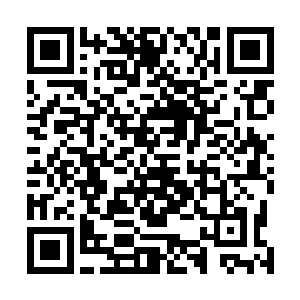 西江卫视很可能凭借这一档节目冲击地方台的领头羊角色二维码生成