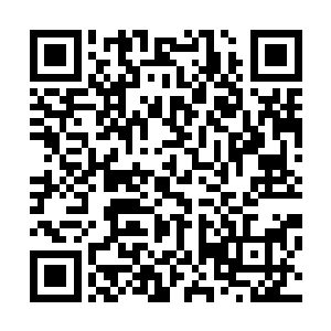 西瑟夕里下令杀掉了最早一批以财政部部长为首的外逃官员二维码生成