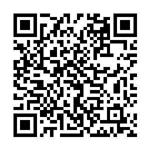 西瑟夕里发现有一头小啾居然是带着一台机器人过来的二维码生成