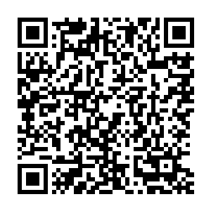 西瑟夕里在混乱中甚至没有注意到自己一路上背着的人还有一台机器人二维码生成