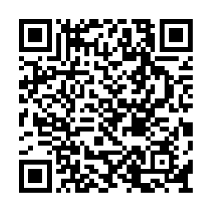 西门俊雄不可能再让他去教训学校里的哪个学生二维码生成