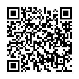 西门孤烟冷冷一哼・那意思是我有必要向你解释吗二维码生成