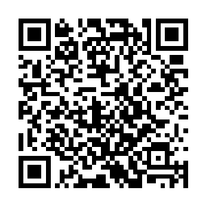 西门王也是趁着这个机会悄悄的来到了夏天的身边二维码生成