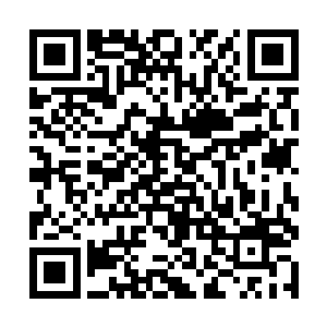 西门辰也想着要在金铃岛的仙境之中来将你亲手杀死二维码生成