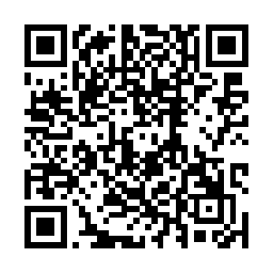 西陵皇派来的使者此时只是低着头盯着跟前杯中的美酒二维码生成