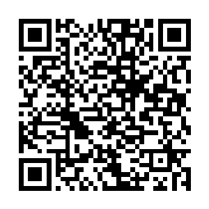 西霸天那巨大的身体一拳打在了上古火凤凰的头上二维码生成