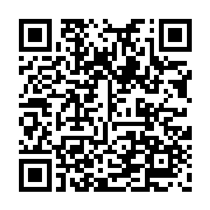 要不……关起来调查吧……若是有无辜者在里面二维码生成