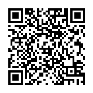 要不我把公会所有人都调集起来守在每个城镇的传送点二维码生成
