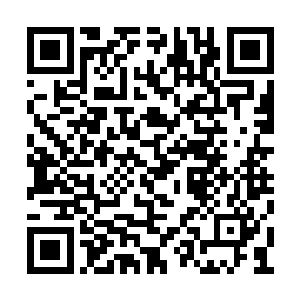 要不是作为宗主的云凌道尊发布了这样一个任务二维码生成