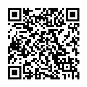 要不是修罗在弄到了禹阳集团贿赂和没个懂事的证据二维码生成