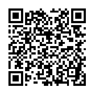 要不是凌雅给他用东西围在中间估计不定转到哪里去了二维码生成