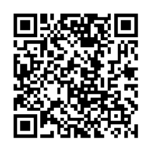 要不是唐猛说有身份证方便交通和住宿等等很多事情二维码生成