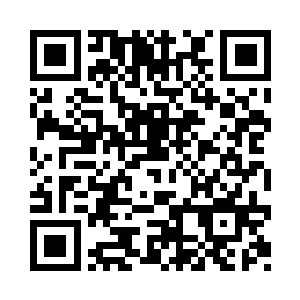要不是因为……我不是要告世子的状二维码生成