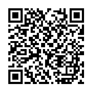 要不是因为回来之前已经在白奇雪家里睡了一阵子二维码生成