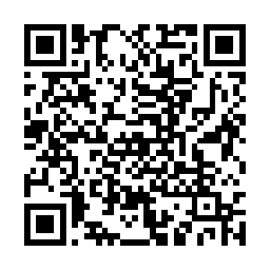 要不是当初你租下那个店铺又给她办营业执照啥的二维码生成