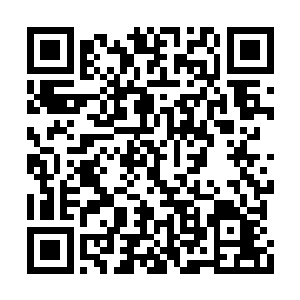 要不是西装内衬的经典格纹泄露了博柏利的痕迹二维码生成